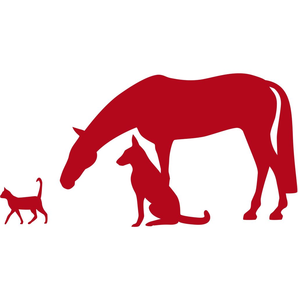 Dierenkliniek RijnOever<br>0172 – 42 66 55