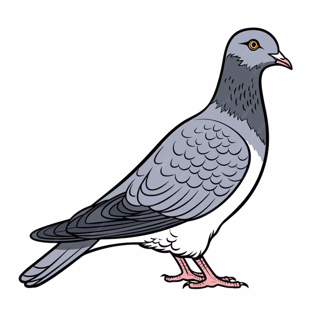 Duiven